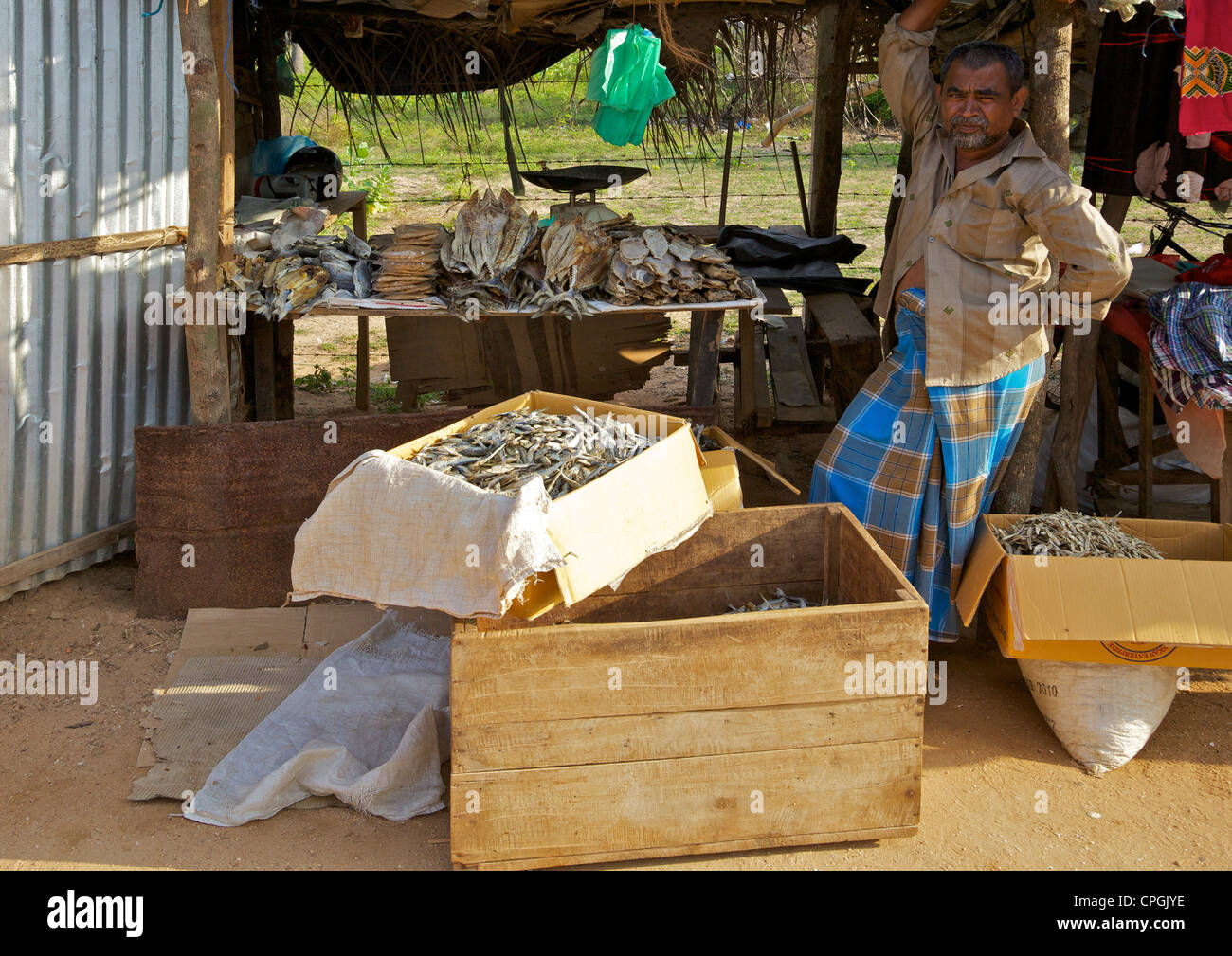 Markt-Stall-Inhaber verkaufen Trockenfisch, Nilaveli, Trincomalee, Sri Lanka, Asien Stockfoto