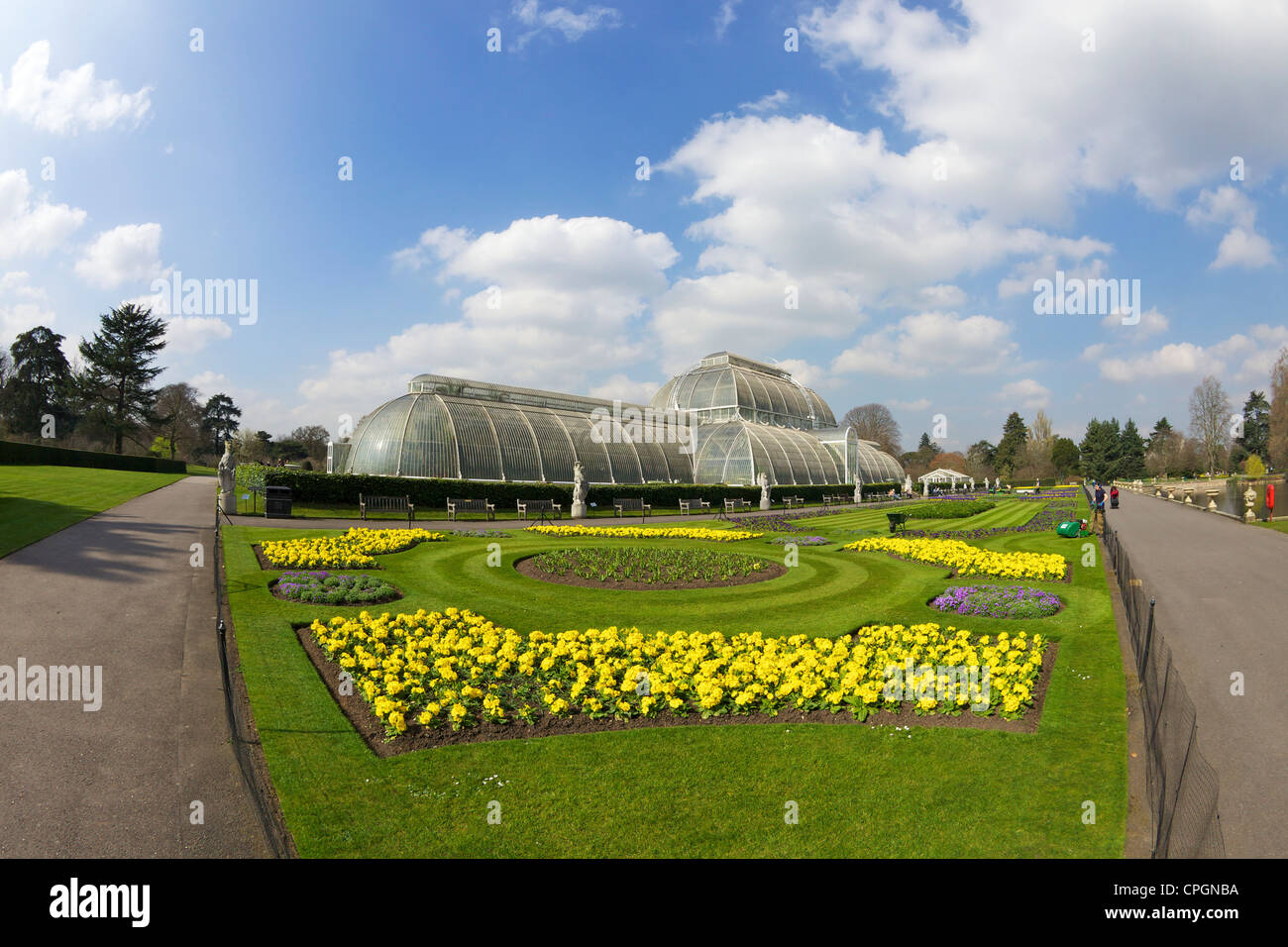 Parterres im Frühling draußen Palmenhaus, Kew Royal Botanic Gardens, London, England, Großbritannien, Deutschland, GB, Großbritannien Stockfoto