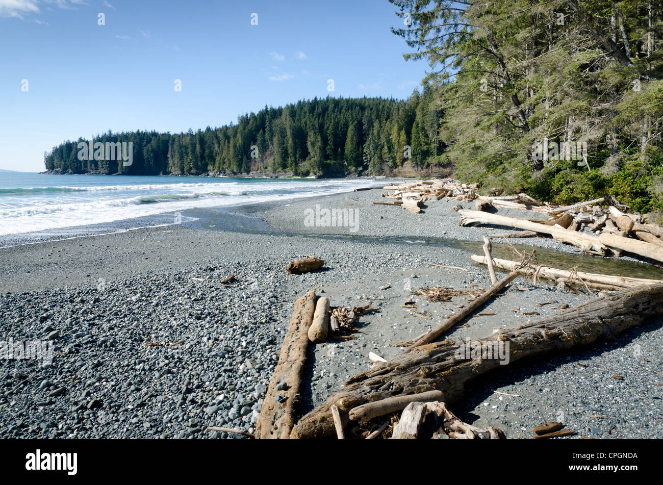 China Beach, Juan de Fuca Provincial Park, Vancouver Island, BC, Kanada Stockfoto