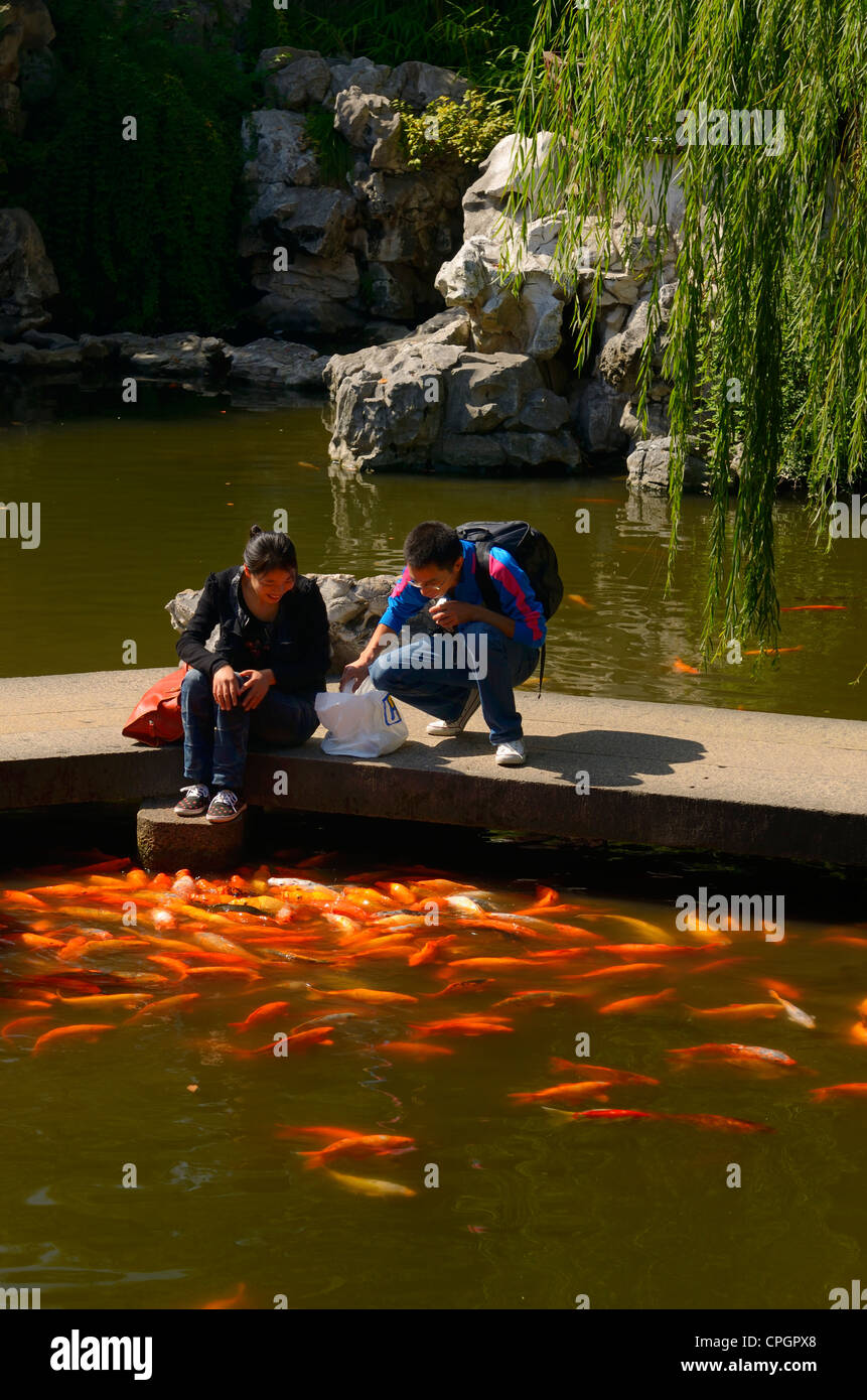 Orange fische Fotos und Bildmaterial in hoher Auflösung Alamy