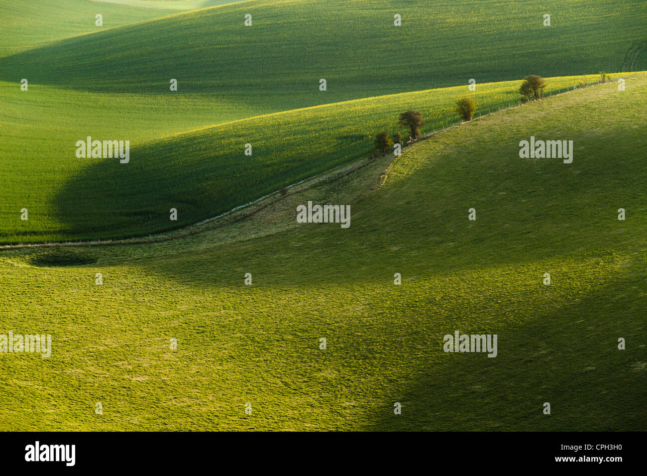 Frühling Morgen in South Downs National Park, East Sussex, England. Stockfoto