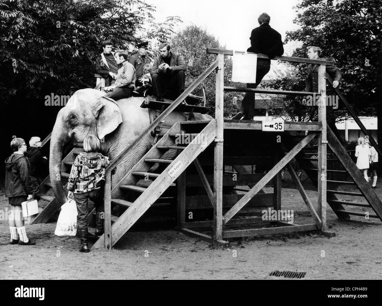 zoologie, Tierpark Hagenbeck, Hamburg, Deutschland, Besucher auf einem Elefantenritt, Oktober 1970, zusätzliche-Rechte-Clearences-nicht verfügbar Stockfoto