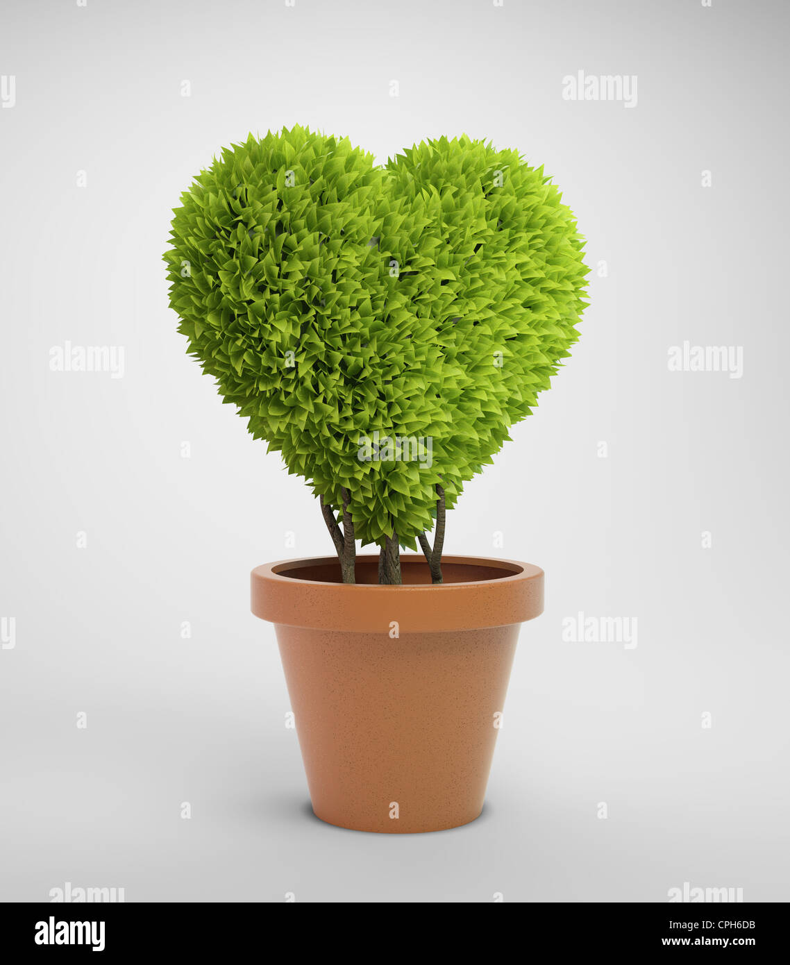 Pflanze in einem Topf in Herzform Stockfotografie - Alamy