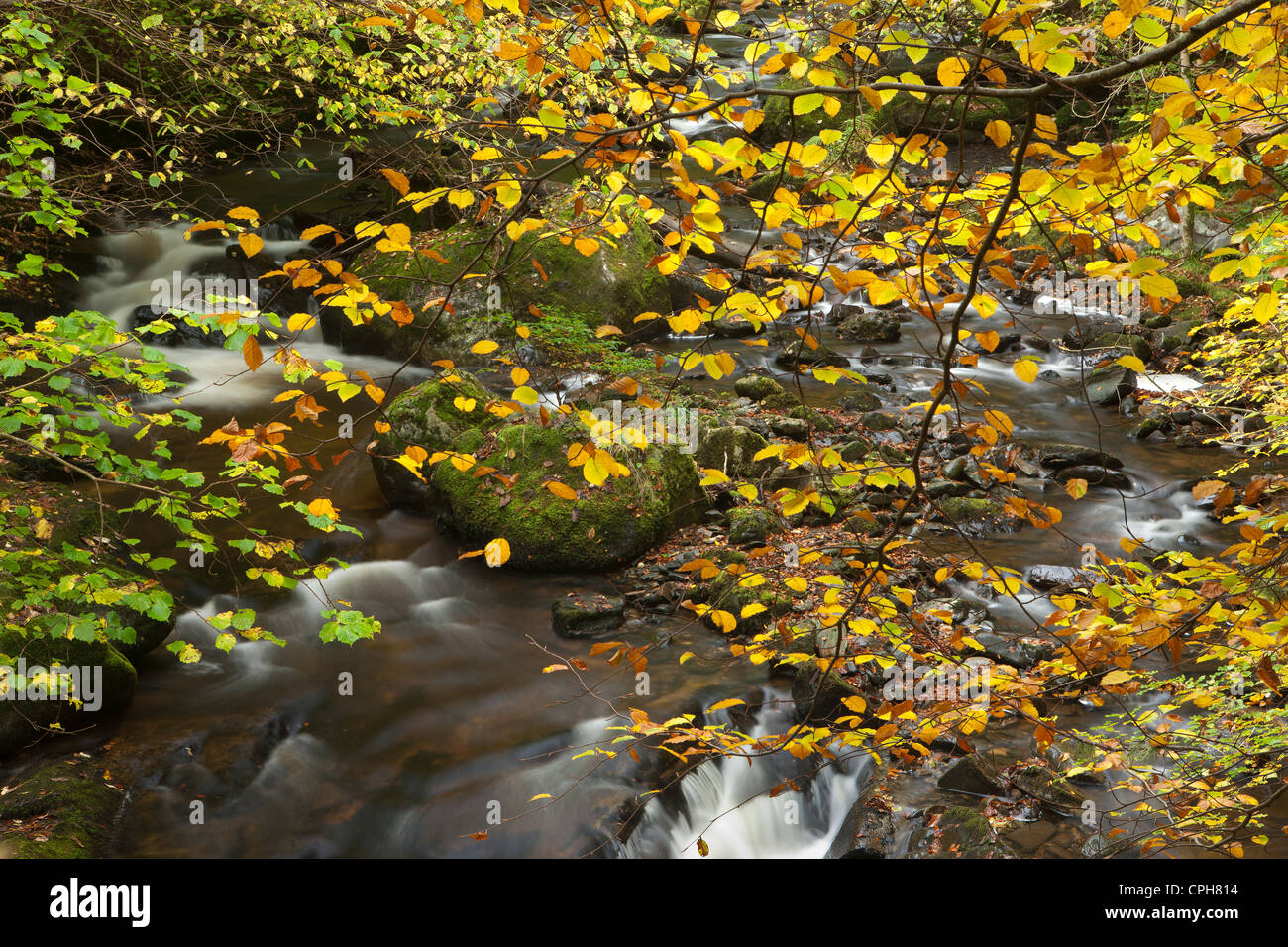 die Birks Aberfeldy, Perthshire, Schottland Stockfoto