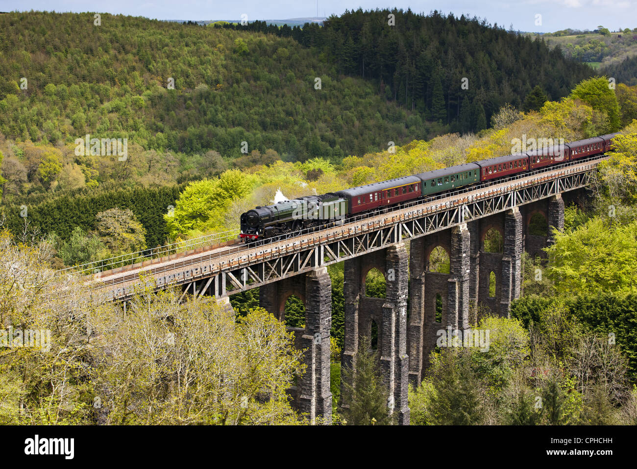 Die Cornishman dämpfen über St Pinnock Viadukt Stockfoto