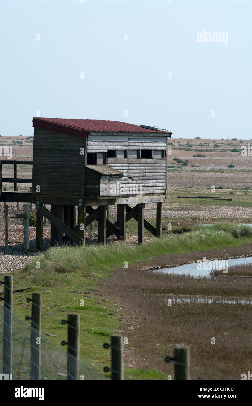 Vogelbeobachter Twitchers verstecken Rye Harbour Nature Reserve East Sussex UK Stockfoto