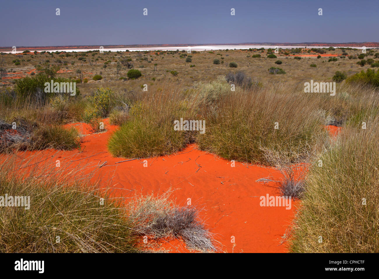 Salz, See, Salz, Outback, Wüste, Steppe, Rasen, roter Sand, Sand, rot,  Uluru, Northern Territory, Australien Stockfotografie - Alamy