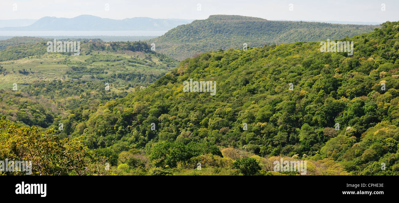 Hügel, Ansicht, Lago de Managua, Nicaragua, Mittelamerika, Matagalpa Stockfoto