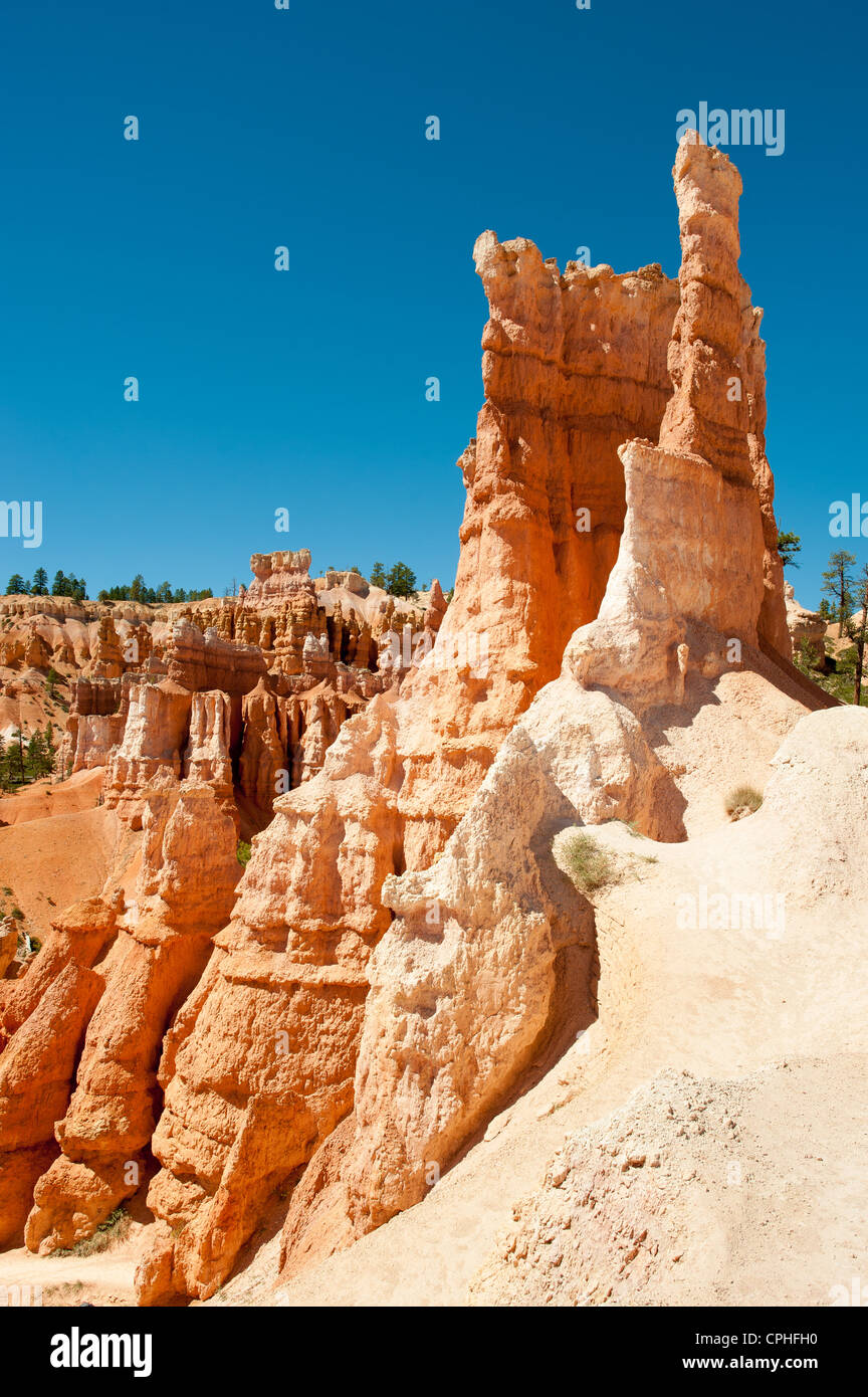 Hodoos im Bryce Canyon, Bryce-Canyon-Nationalpark, Utah, USA Stockfoto