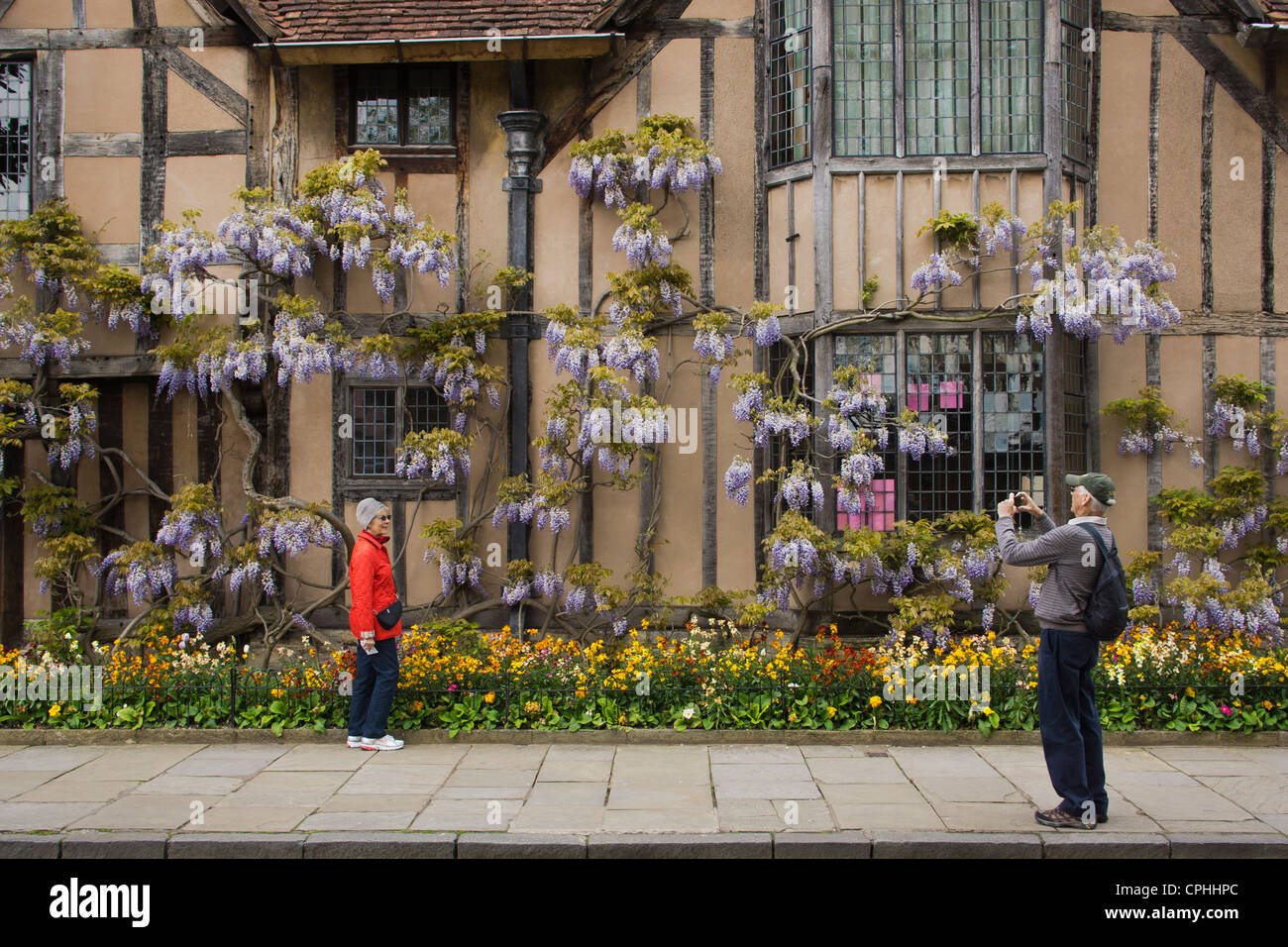 HALLS FACHWERK CROFT ARZT HALLEN HAUS SUZANNA SHAKESPEARES ÄLTESTE TOCHTER WISTERIA LILA BLÜTEN BLUMEN LILA GEBÄUDE Stockfoto