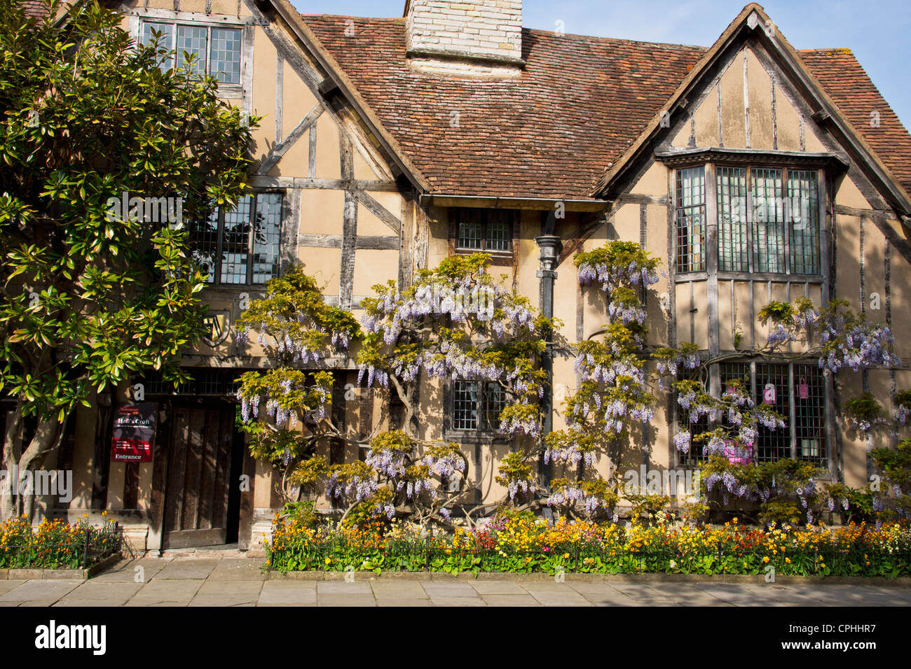HALLS FACHWERK CROFT ARZT HALLEN HAUS SUZANNA SHAKESPEARES ÄLTESTE TOCHTER WISTERIA LILA BLÜTEN BLUMEN LILA GEBÄUDE Stockfoto