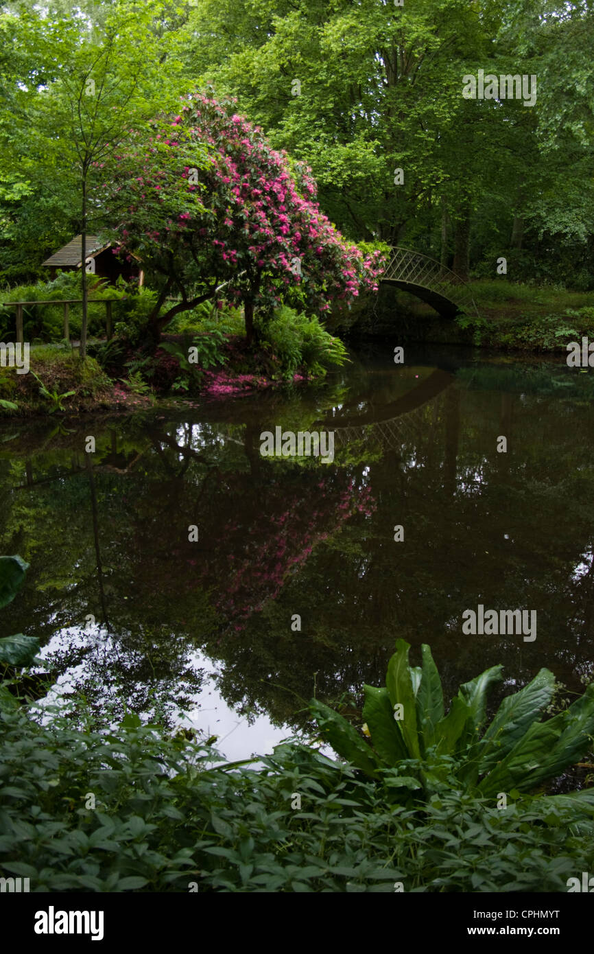 Reflexionen eines japanischen Stil Garten Holzbrücke in einem Zierteich, umgeben von Bäumen Stockfoto