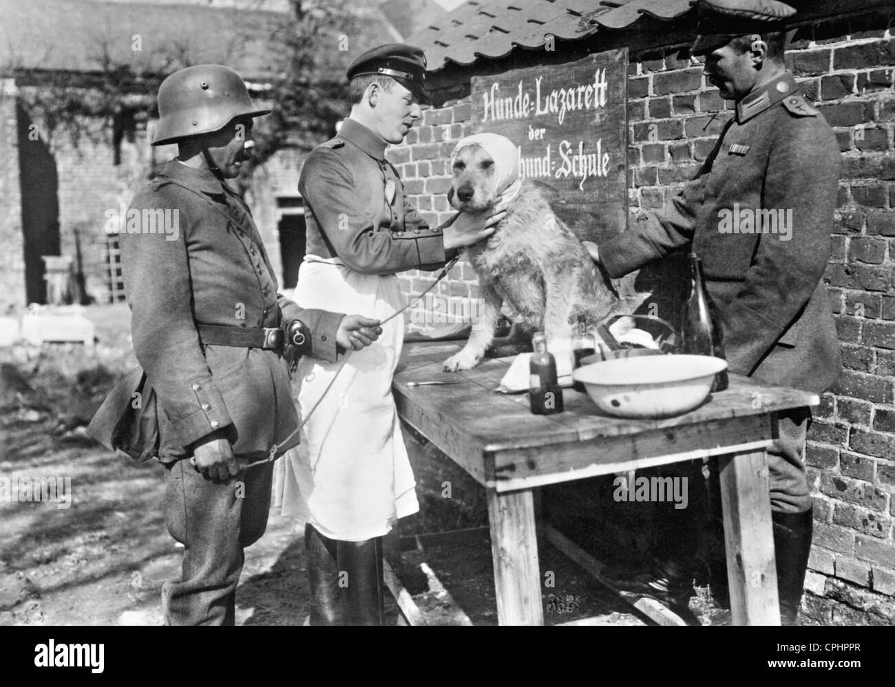 Base Hospital für Hunde im ersten Weltkrieg Stockfoto