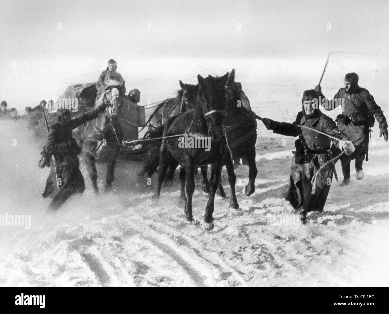 Deutsche Pferdefuhrwerke an der Ostfront, 1941 Stockfoto