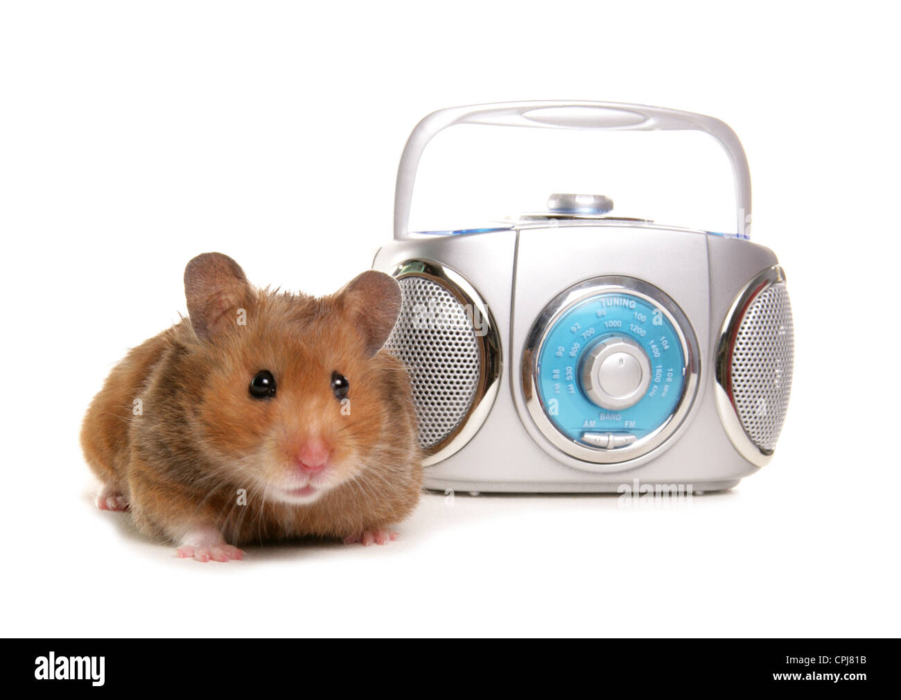 Dating seiten mit hamster
