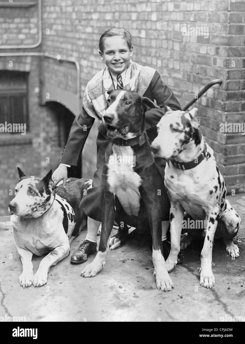 Jackie Coogan mit Hunden Stockfoto