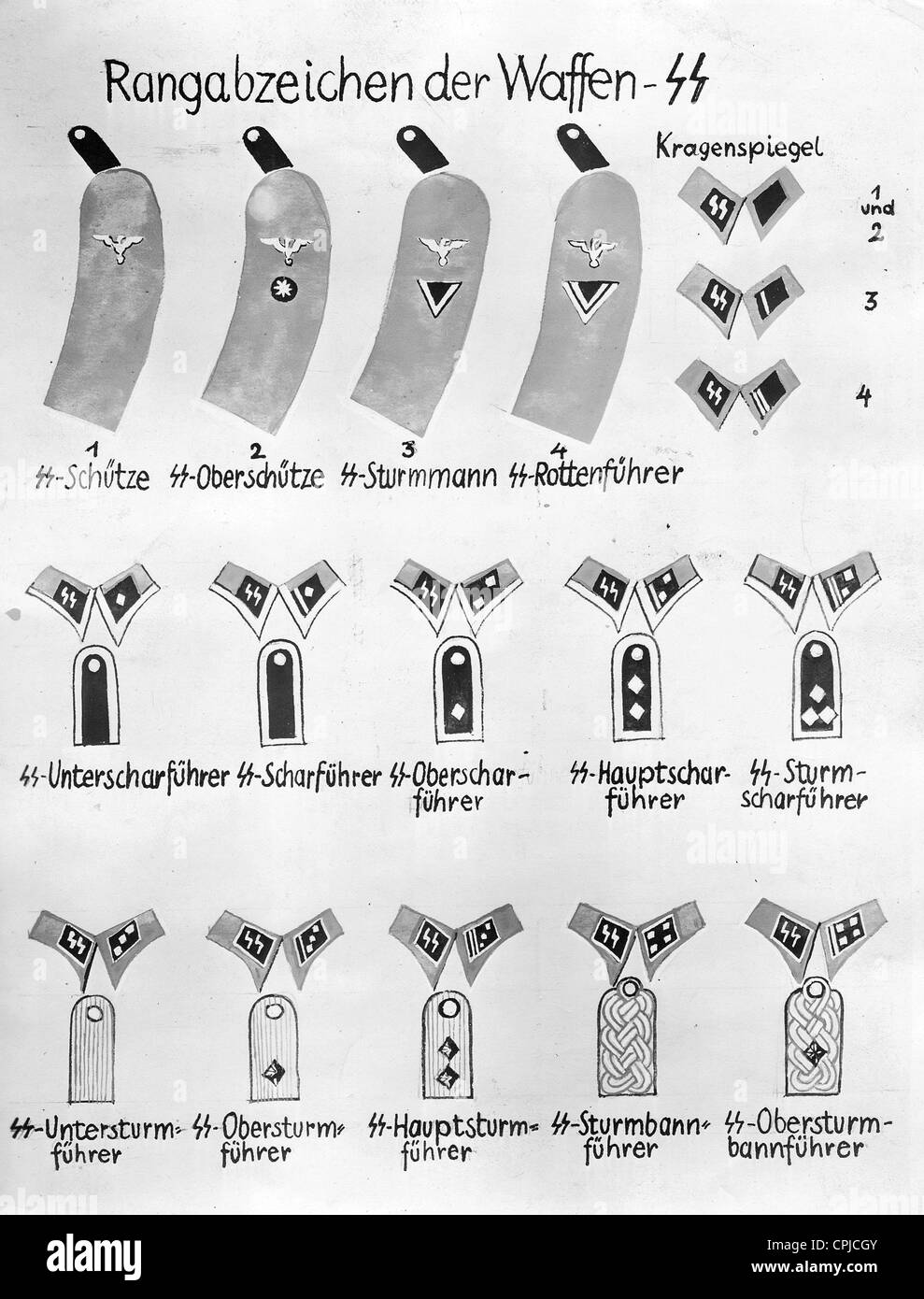 Abzeichen Der Waffen SS Stockfotografie Alamy