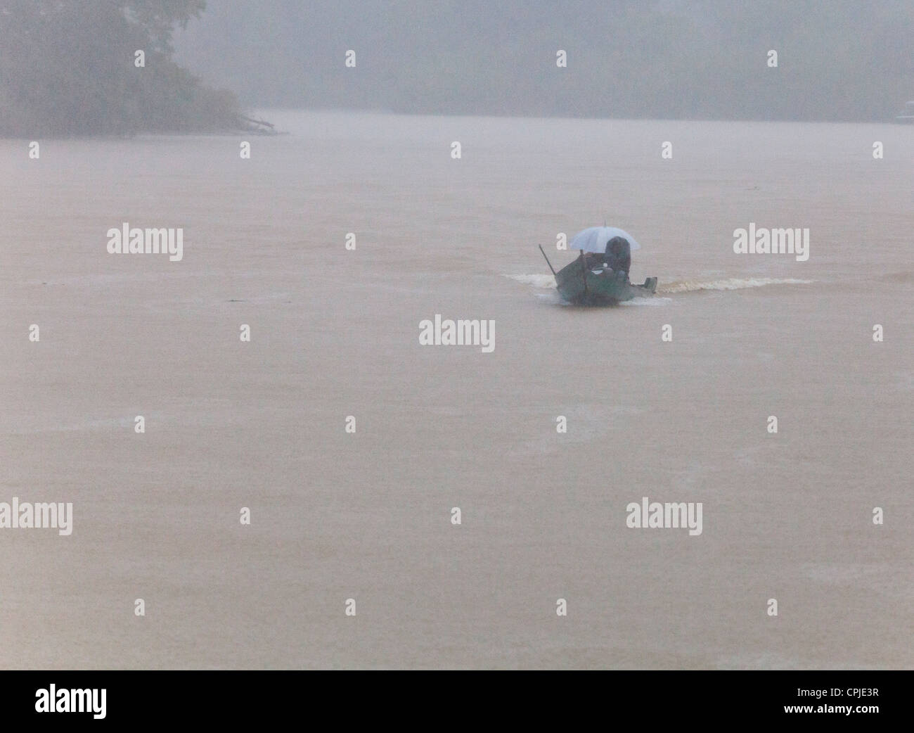 Starker Regen am Kinabatangan Fluss, Sabah Borneo Stockfoto