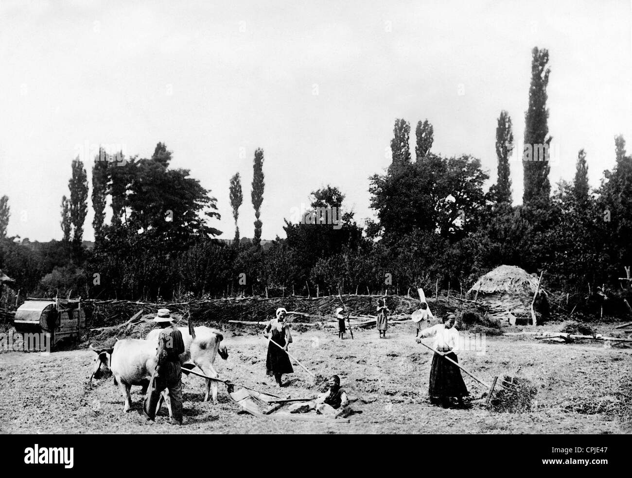 Ein Bauer beim Dreschen, 1932 Stockfoto