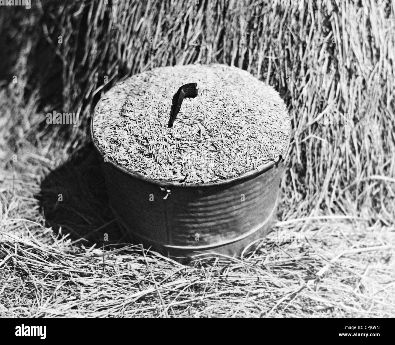 Überproduktion von Weizen, 1934 Stockfoto