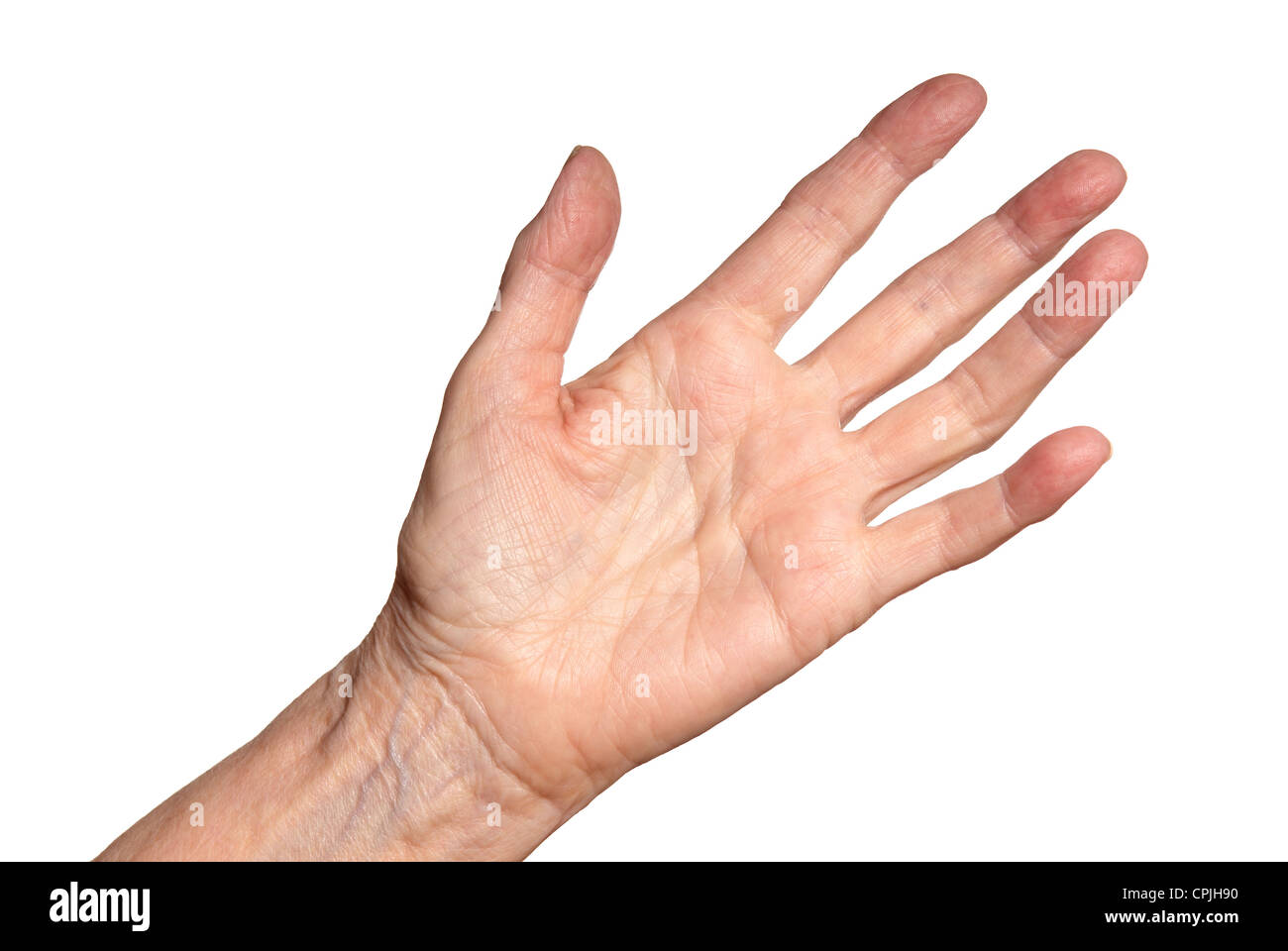 Studioaufnahme von weiblicher Hand. Isoliert auf weißem Hintergrund. Stockfoto