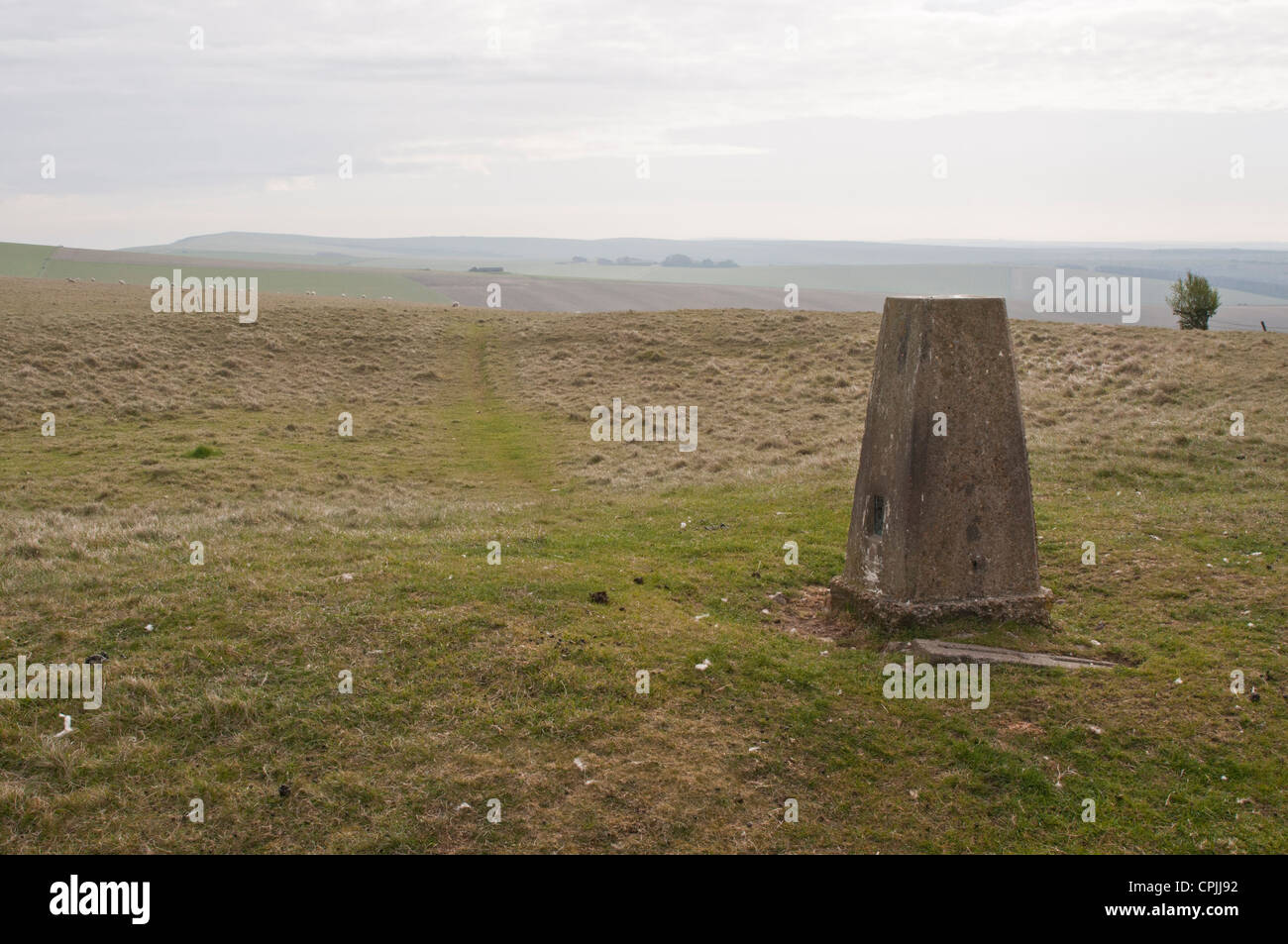 Trig Point auf Th South Downs Stockfoto