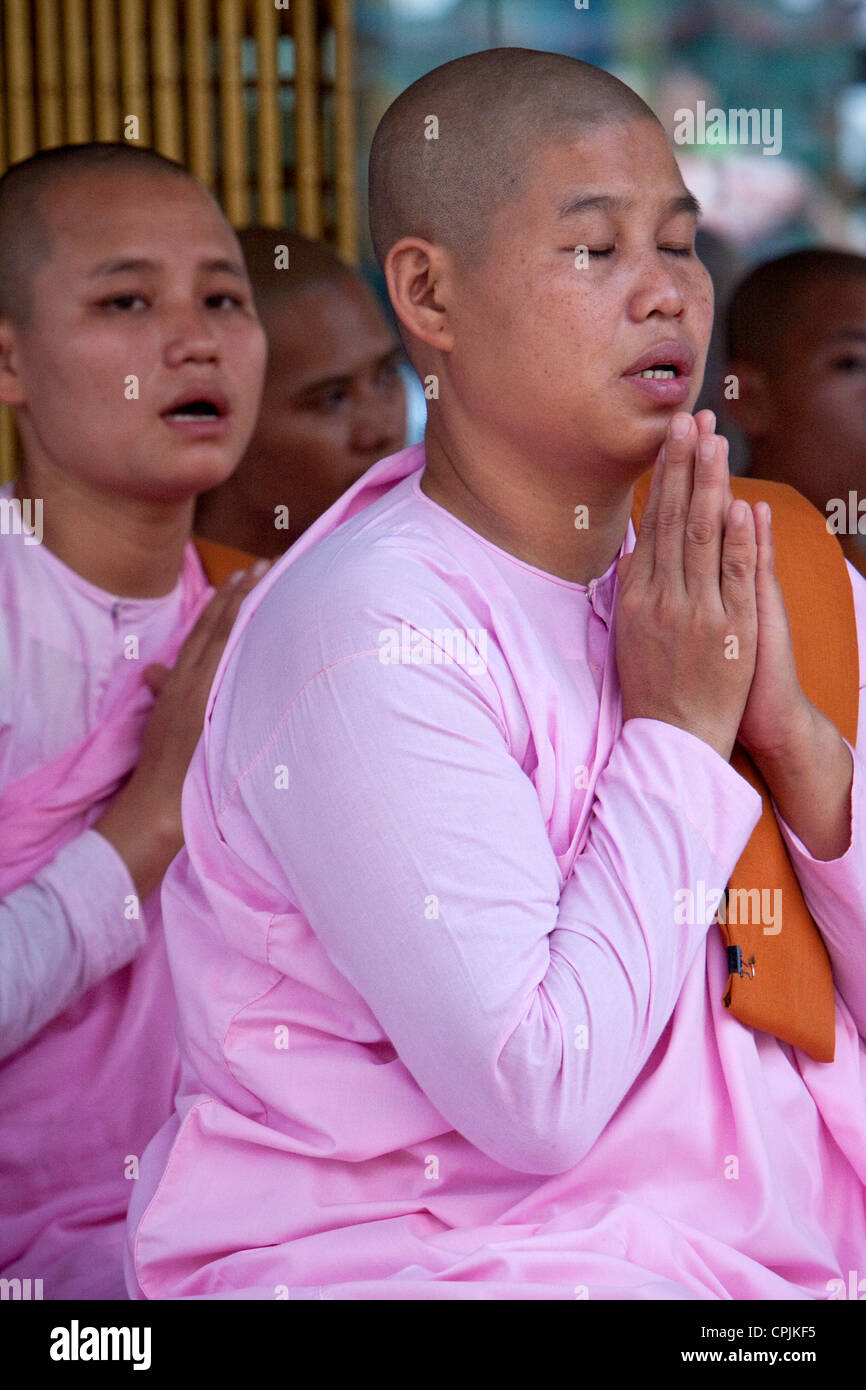 Myanmar, Burma. Shwedagon-Pagode, Yangon, Rangun. Buddhistische Nonnen zu beten. Stockfoto