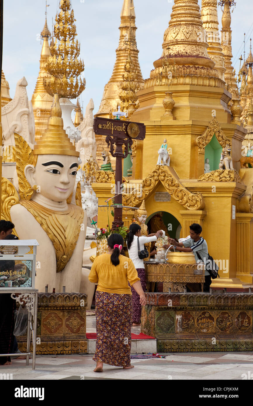 Myanmar, Burma. Shwedagon-Pagode, Yangon, Rangun. Anbeter Gießen Sie Wasser, ein Zeichen der Reinigung, über kleine Buddhas. Stockfoto