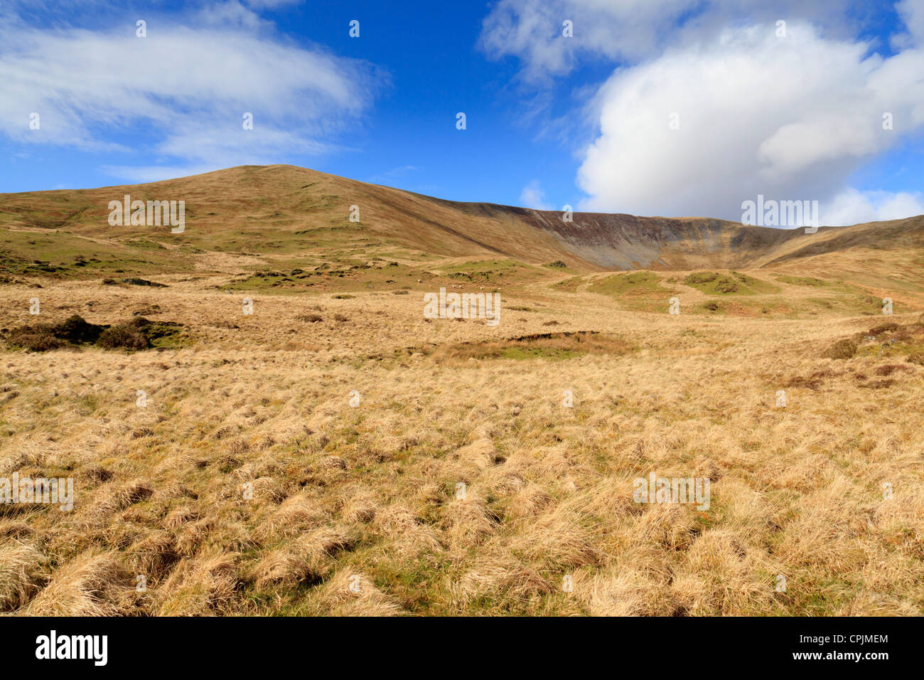 Mit Blick auf Craig Cwm Armach und Mynydd Pencoed aus den unteren Flanken Cadair Idris Stockfoto