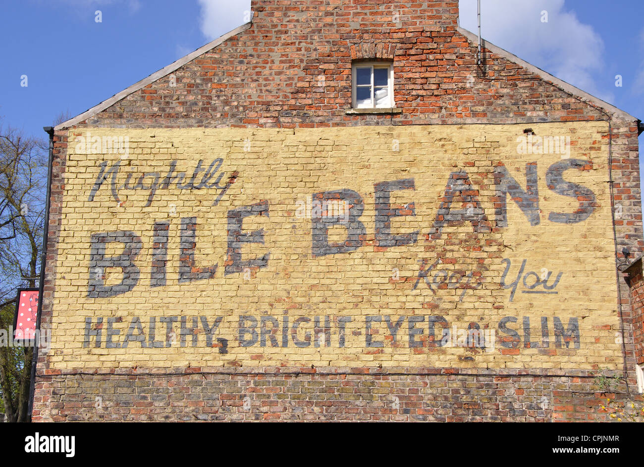 Alten Galle Bohnen Anzeige auf gestrichenen Wand, Herrn Bürgermeister gehen, York, England, UK Stockfoto