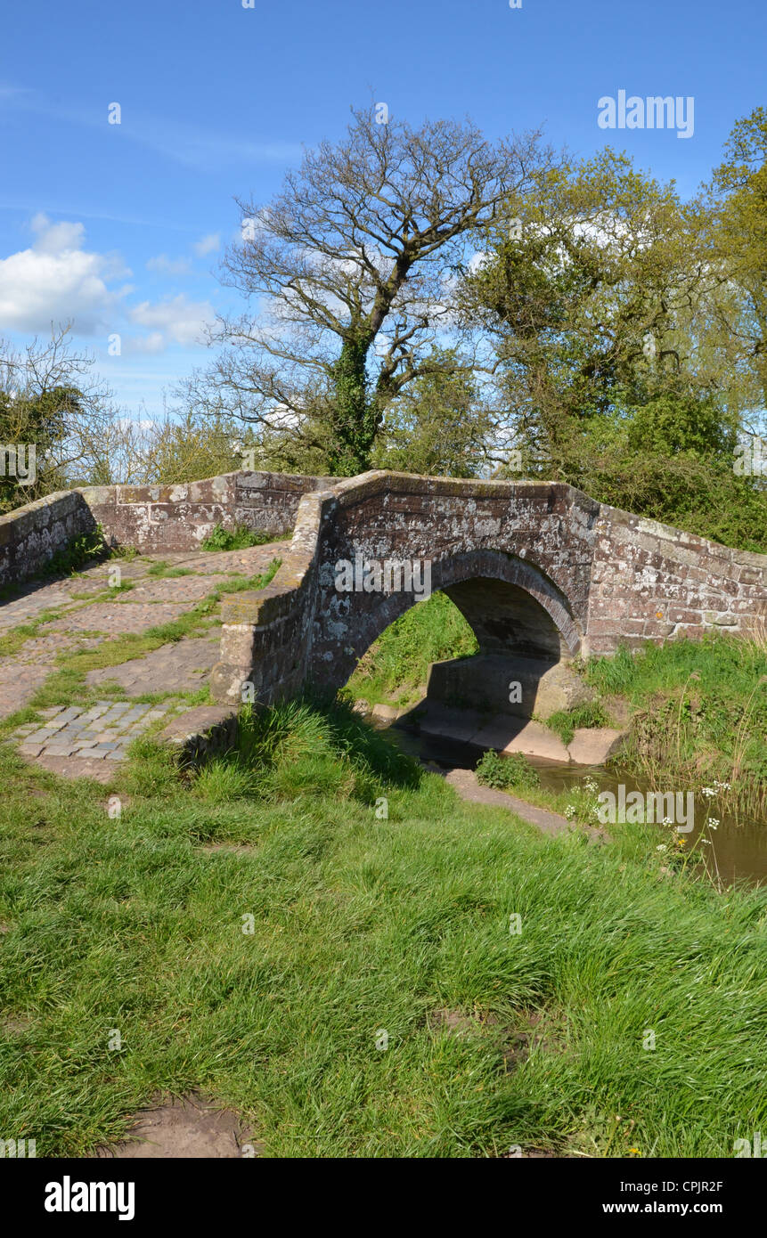 Alten Lastesel-Brücke bei Hockenhull Platts, Tarvin, Cheshire Stockfoto