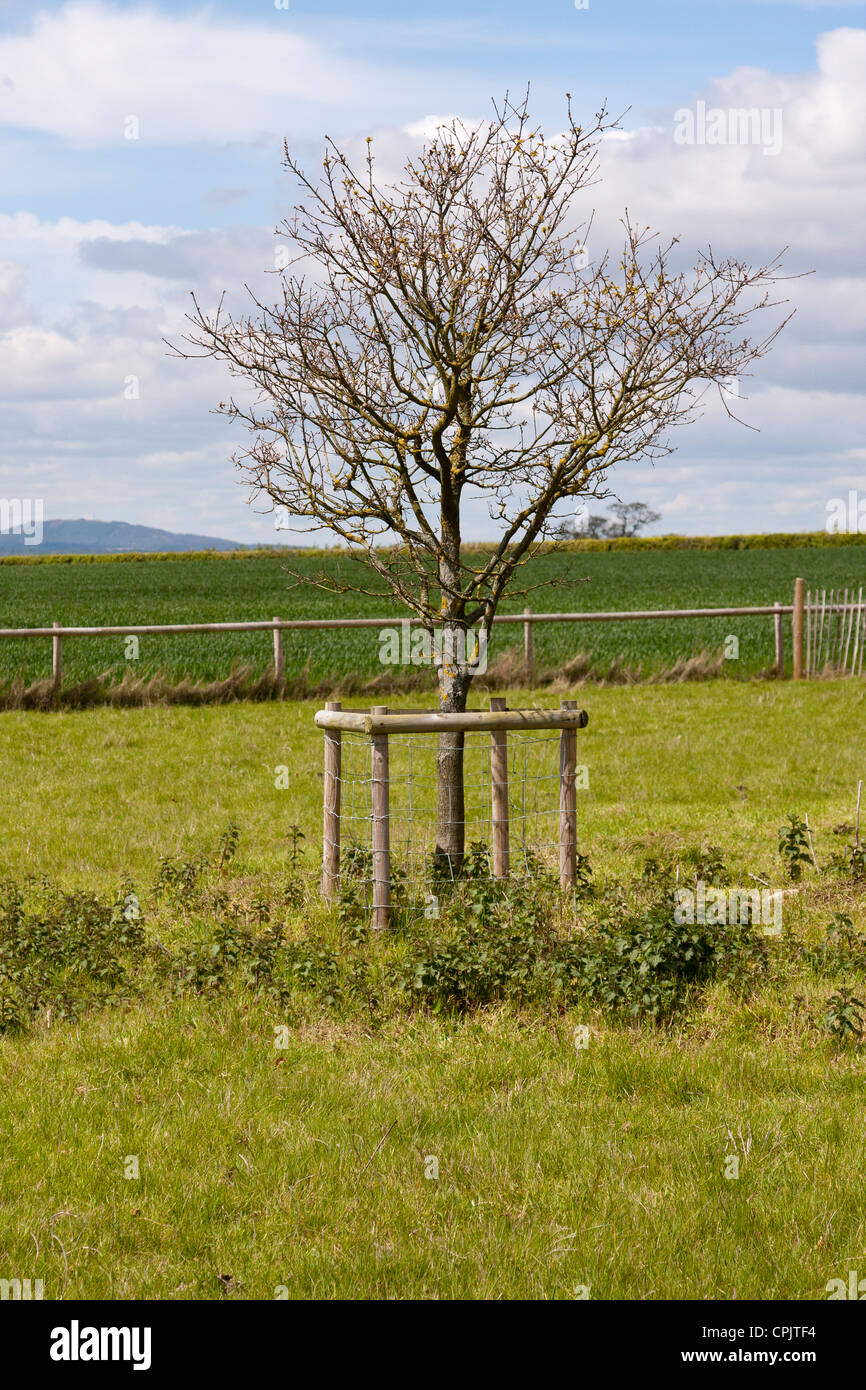 horizontale; Stockfoto