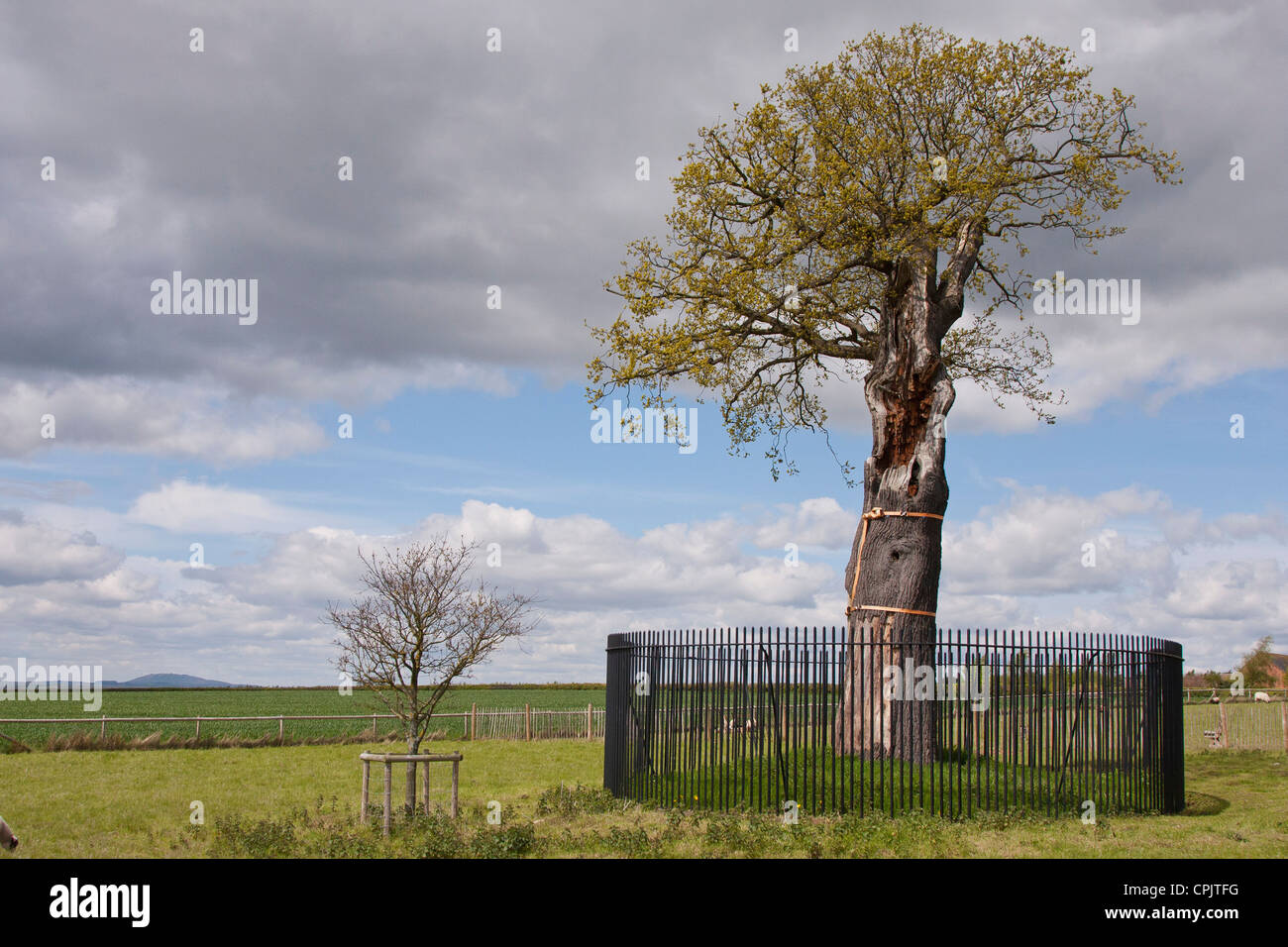 Ein Bild von "The Royal Oak" Boscobel House, Shropshire, wo König Charles II versteckte von den Parlamentariern zu entkommen. Stockfoto