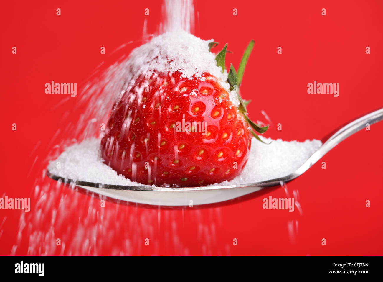 Erdbeere auf Löffel mit Zucker Stockfoto