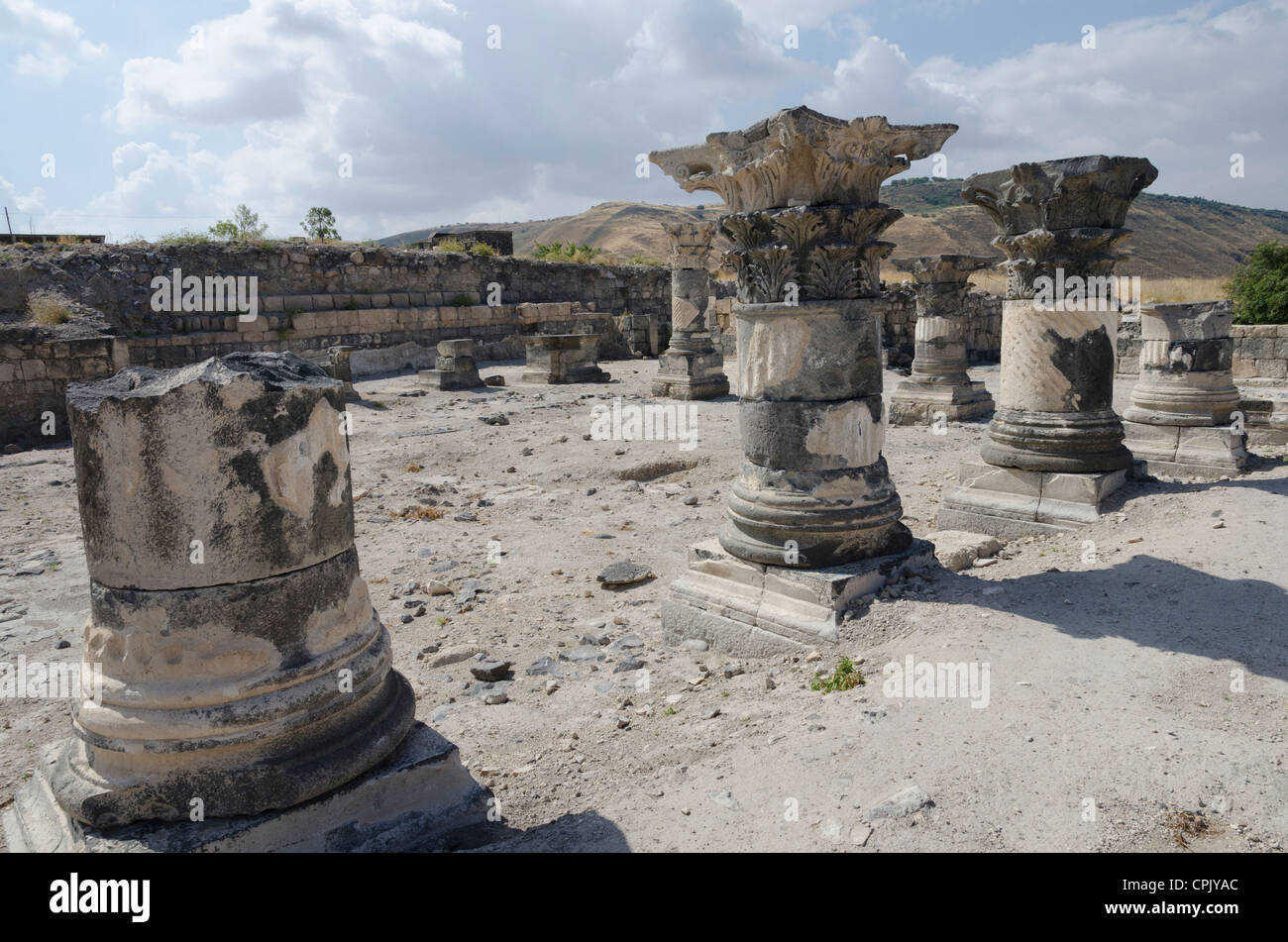 Flusspferde Sussita archäologische Stätte. Golan-Höhen. Israel. Stockfoto