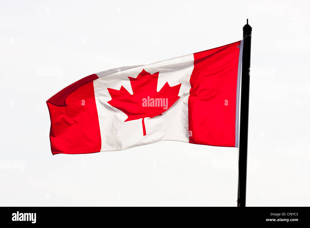 Kanadische Maple Leaf Flagge weht im Wind am Cruise Ship Terminal-Victoria, Vancouver Island, British Columbia, Kanada. Stockfoto