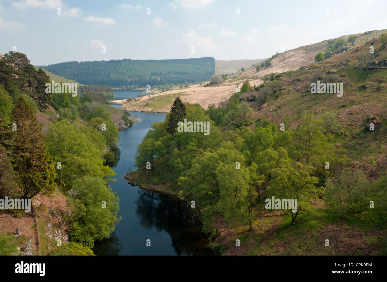 Der Fluss oder Afon, Elan, blickte das Elan-Tal von Craig Goch-Damm in Powys, Mid Wales, UK Stockfoto