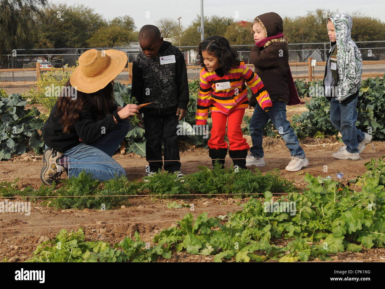 Kindergartenkinder von Rio Vista Elementary School besuchen Tucson Bauernhof, Tucson, Universität von Arizona, USA. Stockfoto