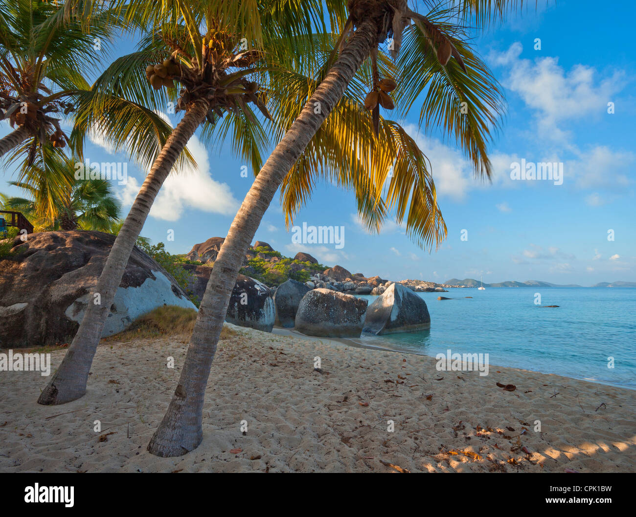 Virgin Gorda, Britische Jungferninseln, Karibik Palmen lehnen sich in Richtung Strand auf Spring Bay, Spring Bay National Park Stockfoto