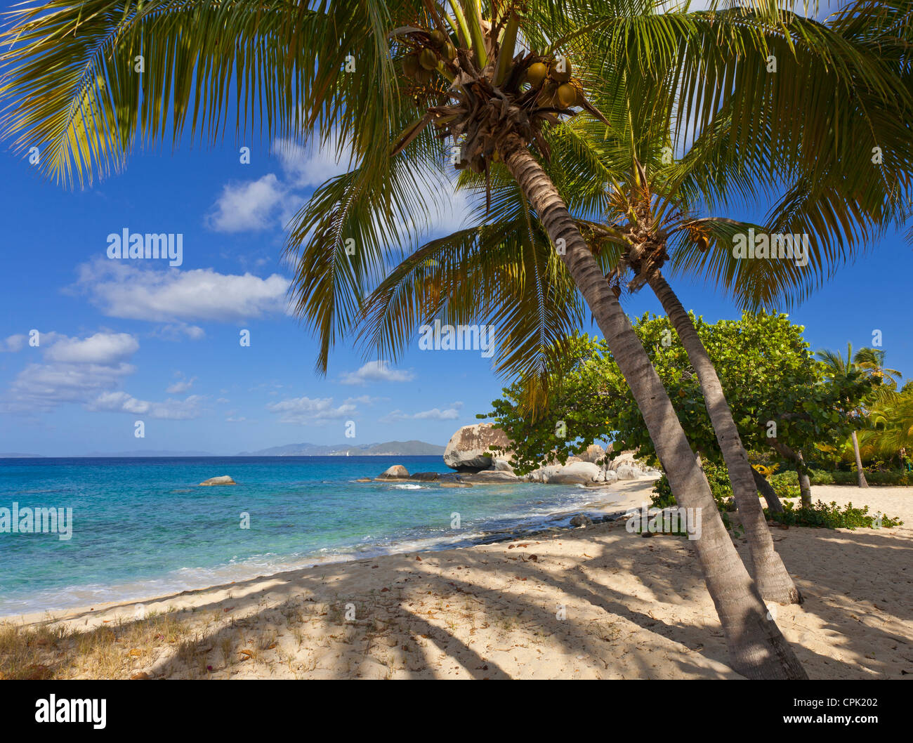 Virgin Gorda, Britische Jungferninseln, Karibik Palmen Schatten am Strand auf Spring Bay, Spring Bay National Park Stockfoto