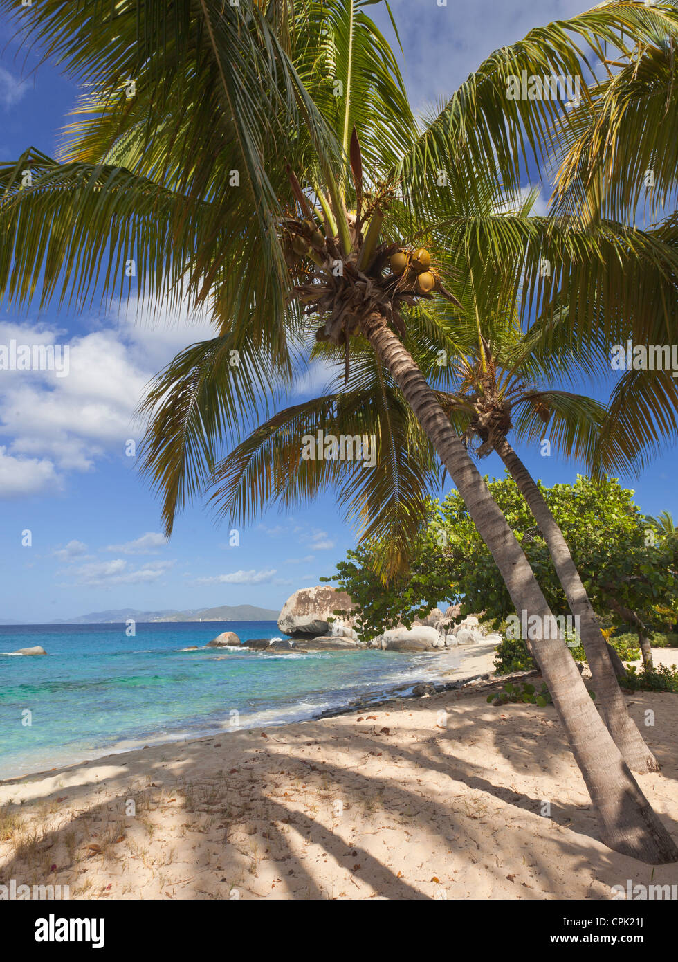 Virgin Gorda, Britische Jungferninseln, Karibik Palmen Schatten am Strand auf Spring Bay, Spring Bay National Park Stockfoto