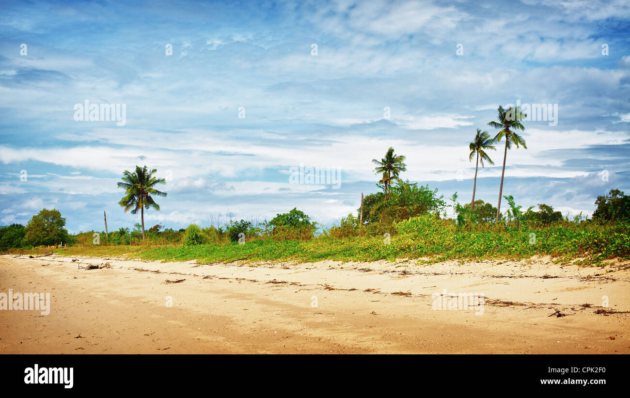 Sandstrand mit Palmen, Andamanensee, Thailand Stockfoto