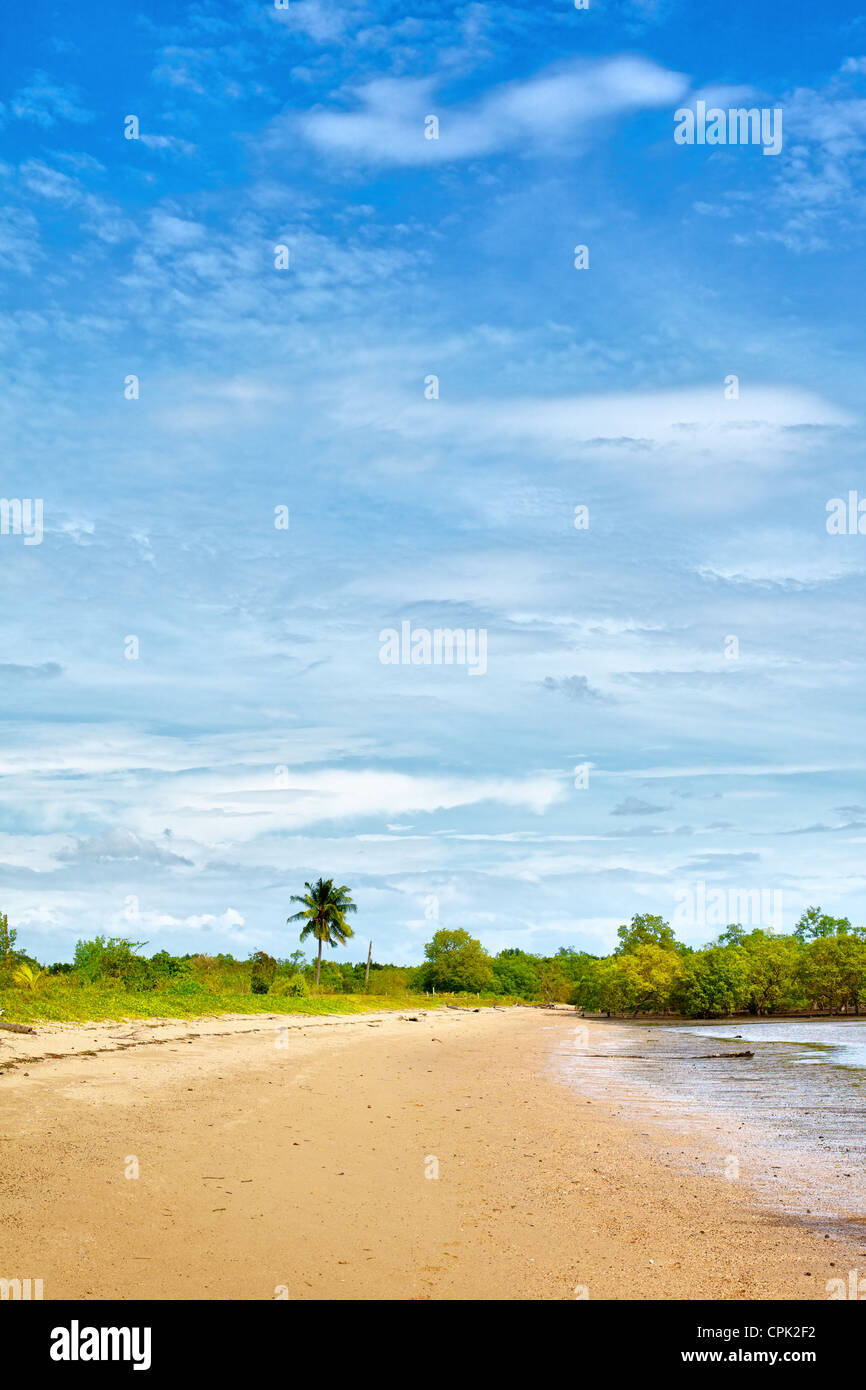 Sandstrand mit Palmen, Andamanensee, Thailand Stockfoto