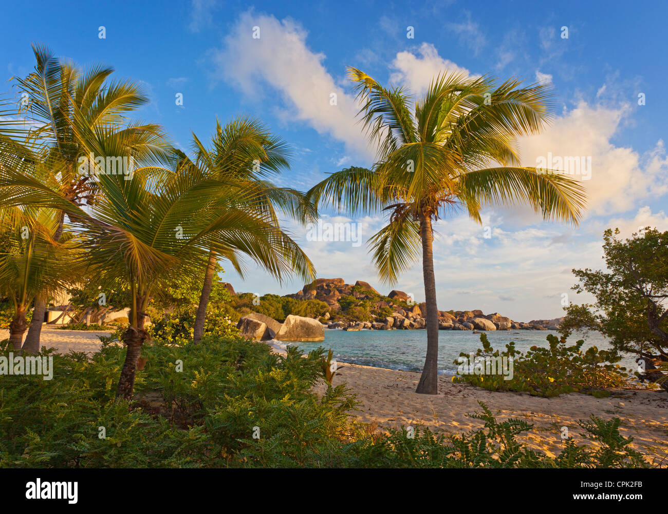 Virgin Gorda, Britische Jungferninseln, Karibik Palmen Schutz am Strand auf Spring Bay bei Sonnenuntergang, Spring Bay National Park Stockfoto