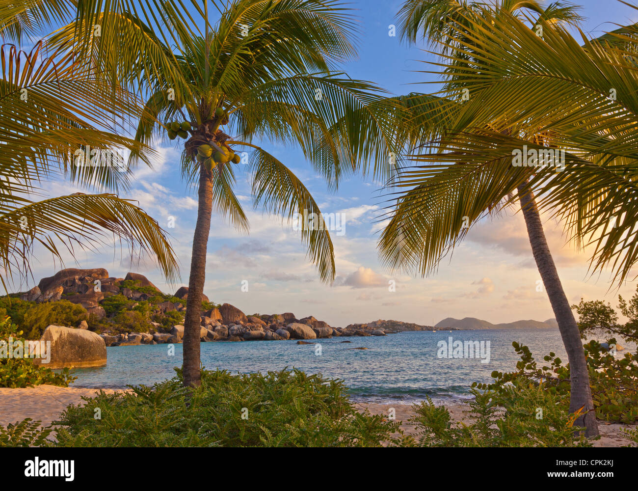Virgin Gorda, Britische Jungferninseln, Karibik Palmen Schutz am Strand auf Spring Bay bei Sonnenuntergang, Spring Bay National Park Stockfoto