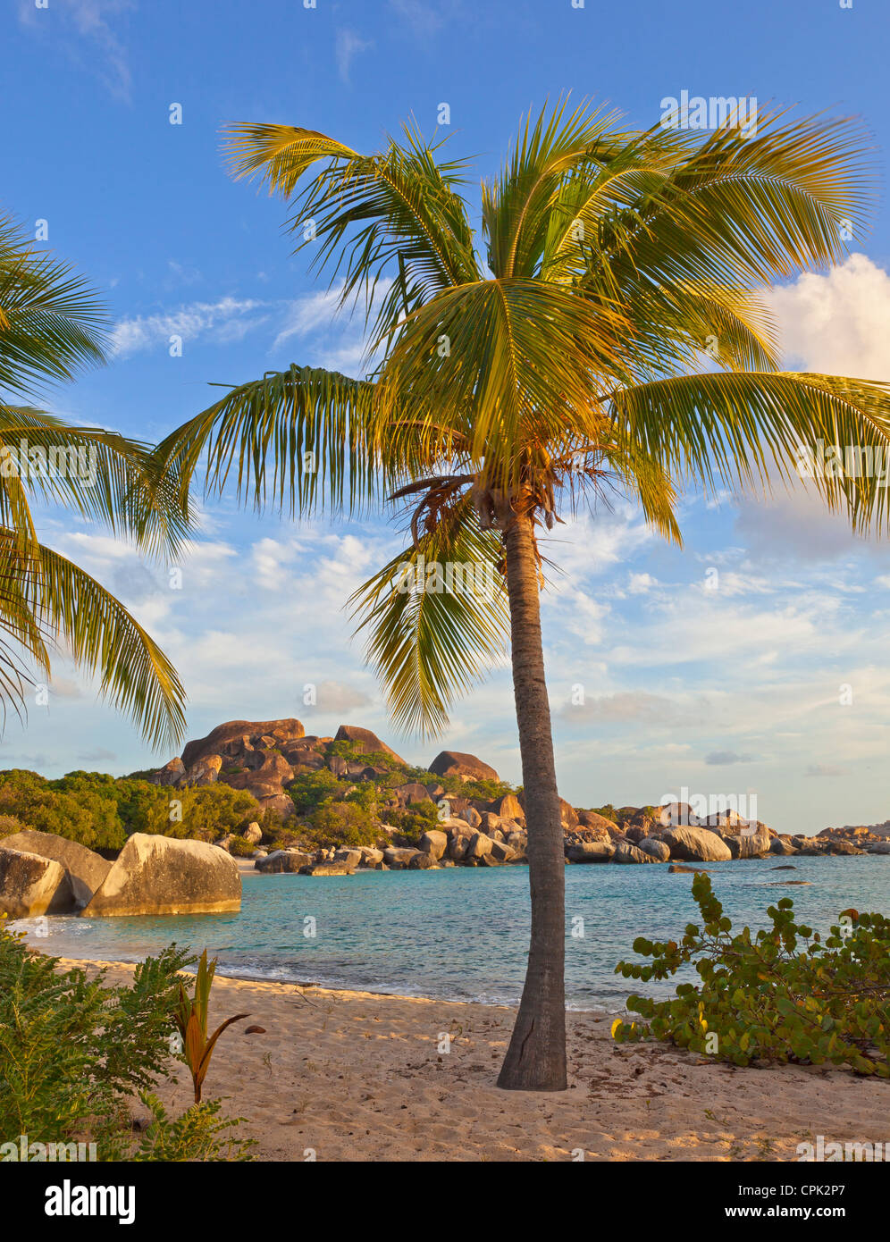 Virgin Gorda, Britische Jungferninseln, Karibik A Palm Tree am Strand auf Spring Bay bei Sonnenuntergang, Spring Bay National Park Stockfoto