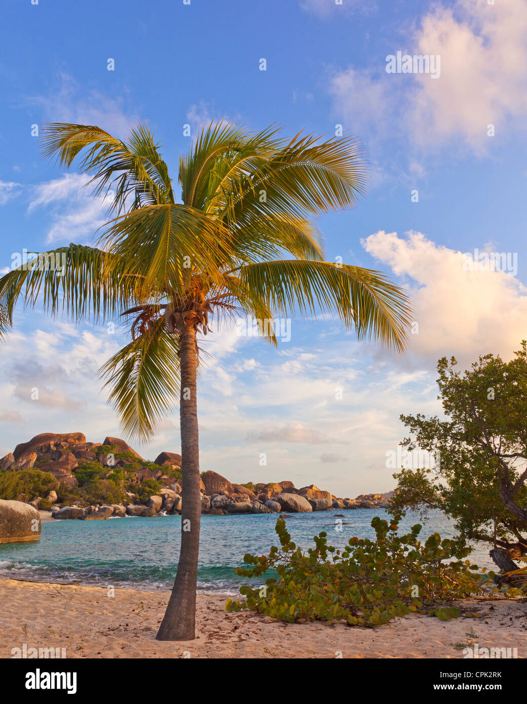 Virgin Gorda, Britische Jungferninseln, Karibik A Palm Tree am Strand auf Spring Bay bei Sonnenuntergang, Spring Bay National Park Stockfoto