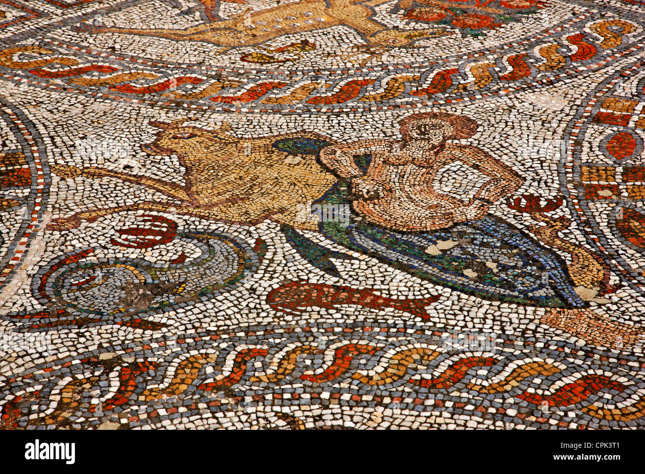 Schönen Mosaik (Roman Period) auf der Terrasse der archäologischen Museum von Naxos Insel Chora Naxos, Kykladen, Griechenland. Stockfoto