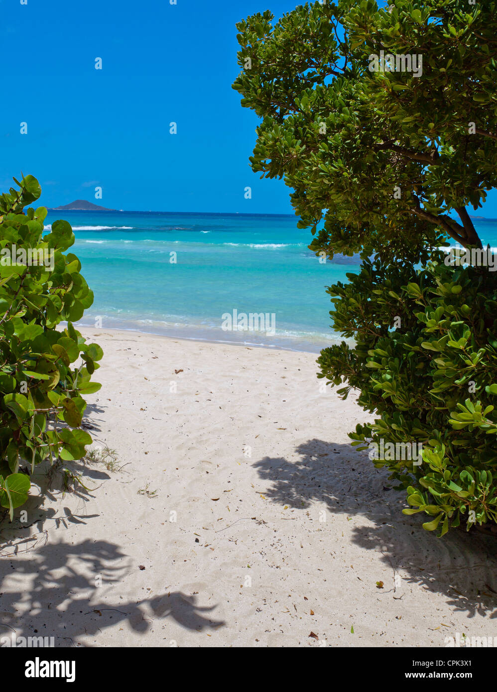 Virgin Gorda, Britische Jungferninseln, Caribbean eine Öffnung zum weißen Sandstrand in Savannah Bay Stockfoto