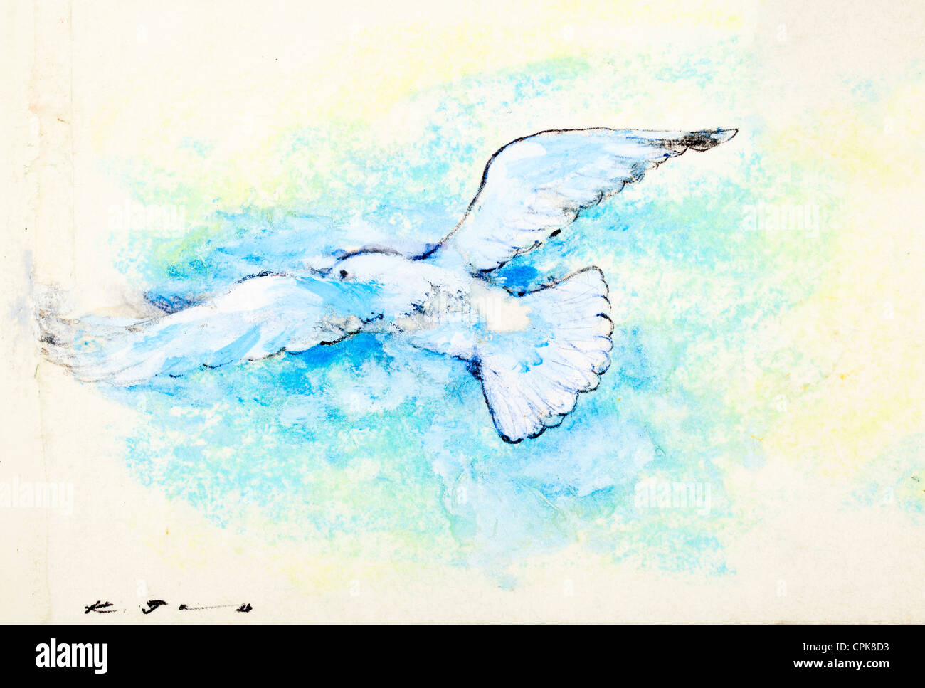 Weiße Taube - Pastellkreide auf Papier von Kurt Tessmann Stockfoto